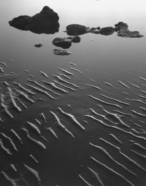 Sand surface, Porbandar III (b/w photo)  a 
