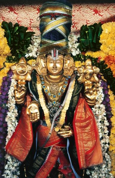 Shreenivas Perumal lord Vishnu during Masimagham festival at Pondicherry Union Territory (photo)  a 