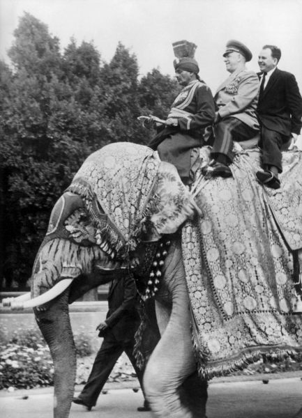 The field marshal Georgi Joukov, soviet Defence minister in New Delhi in India on an elephant a 