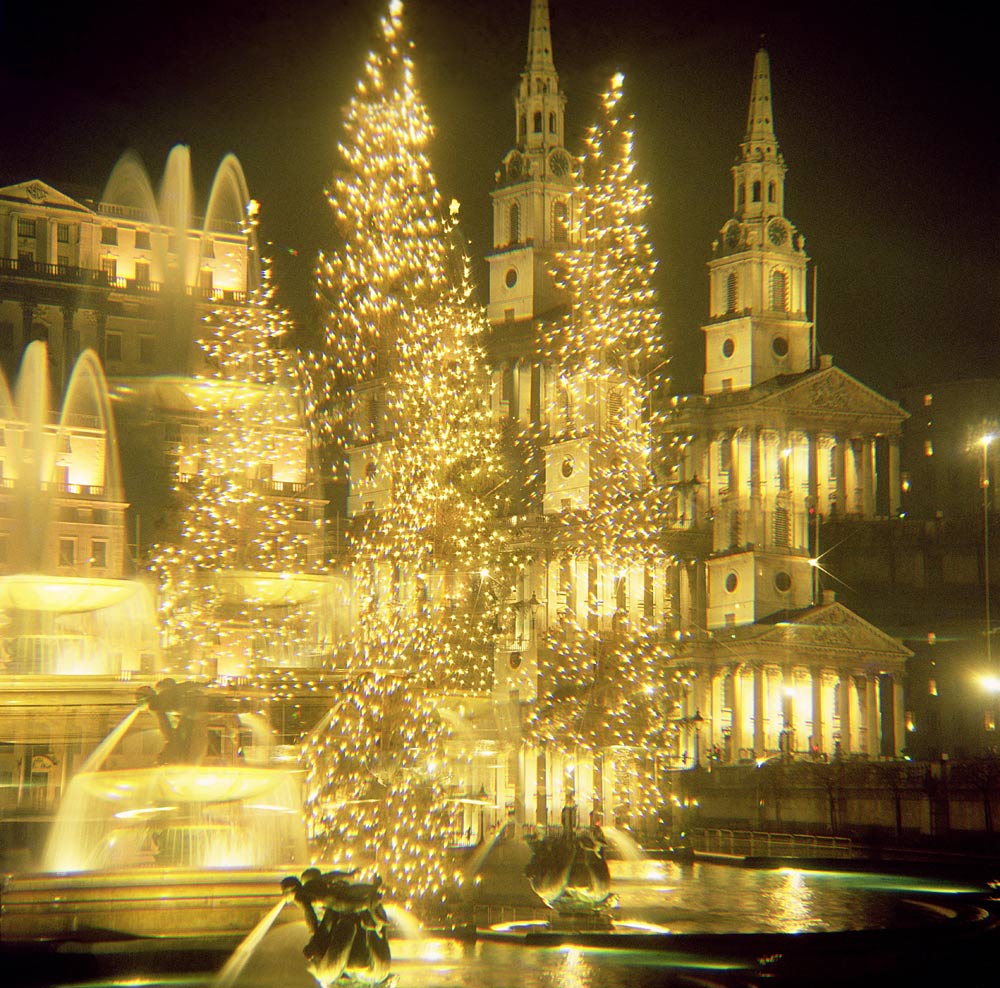 Trafalgar Square, Christmas Lights a 