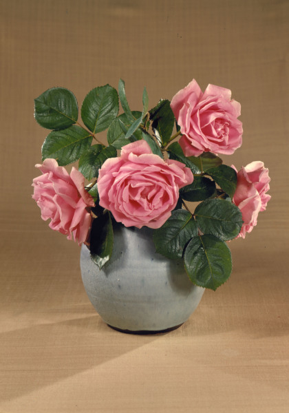 Vase mit rosafarbenen Rosen / Foto a 