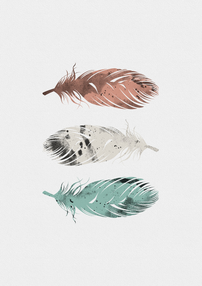 Pastel Feathers a Orara Studio