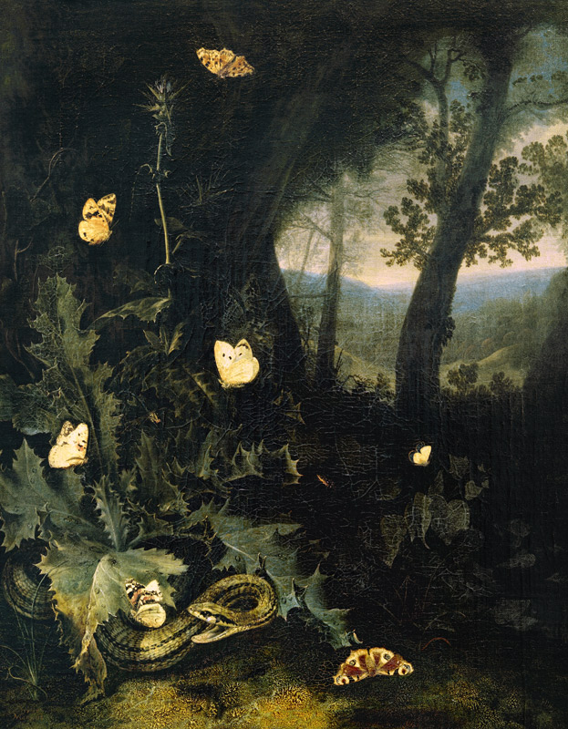 Waldboden mit Distel und Schlange a Otto Marseus van Schrieck