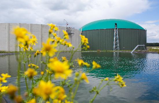 Biogasanlage in Turnow a Patrick Pleul