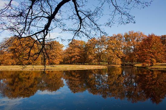Branitzer Park im Herbst a Patrick Pleul