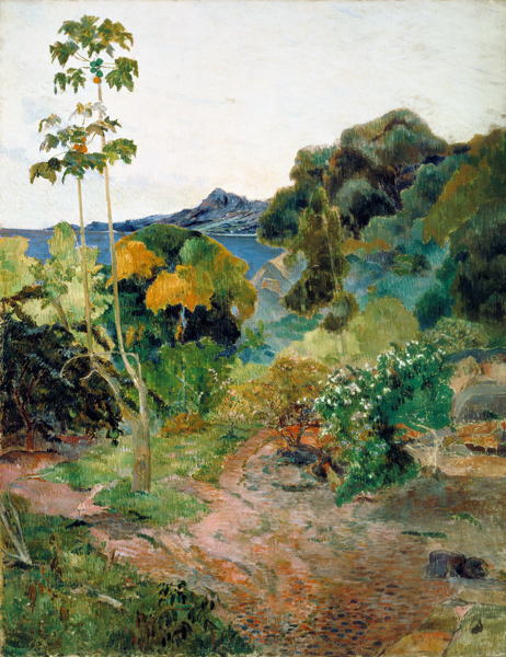 Vegetazione tropicale, Martinica a Paul Gauguin