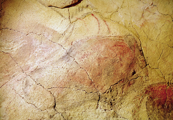 Bison, from the Caves at Altamira a Prehistoric