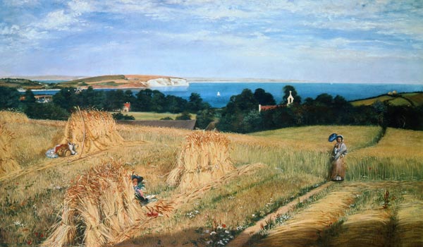 Corn Field in the Isle of Wight a Richard Burchett