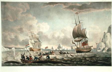 The North West or Davis's Streights Whale Fishery, published by John & Josiah Boydell a Robert Dodd