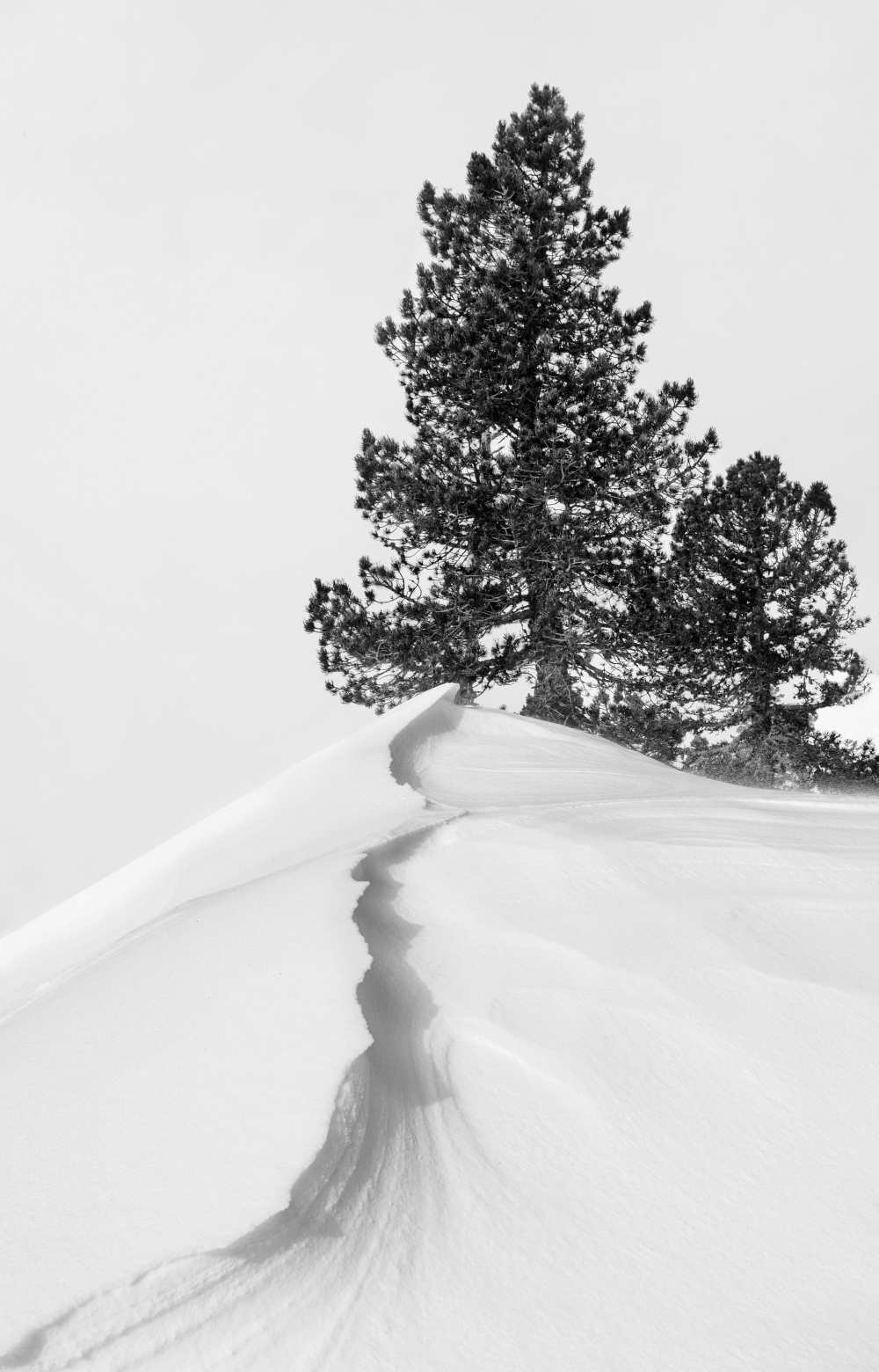 Titolo dell\'immagine : Rodrigo Núñez Buj - About the snow and forms
