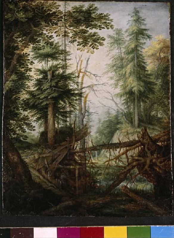 Waldlandschaft mit Eremit a Roelant Jakobsz Savery