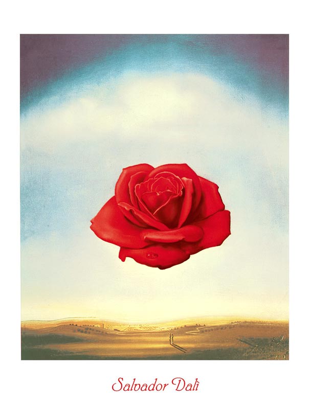 Titolo dell\'immagine : Salvador Dali - La rosa meditativa