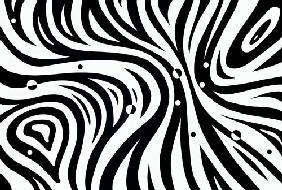 Zebra spaziale n.1