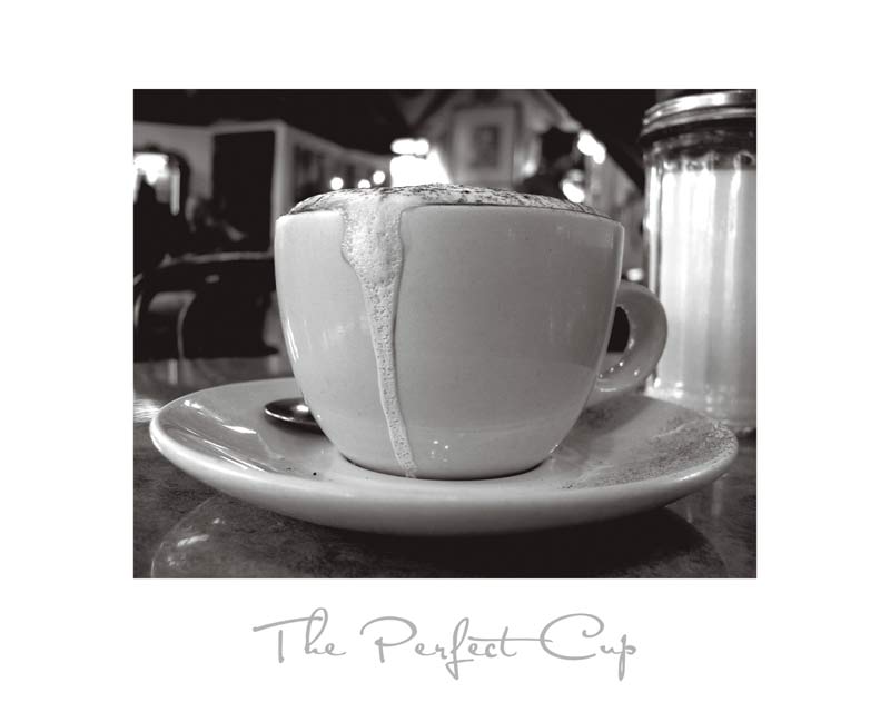 Titolo dell\'immagine : Scott Amour - The Perfect Cup