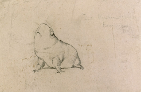 Bull Frog a Sir Edward Burne-Jones