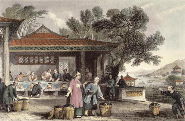 The Culture and Preparation of Tea, from 'China in a Series of Views' by George Newenham Wright (c.1 a Thomas Allom