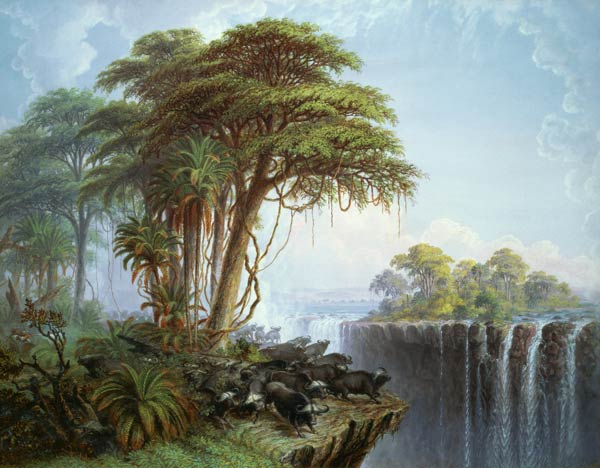 Buffalos Driven to the Edge of the Chasm opposite Garden Island, Victoria Falls a Thomas Baines