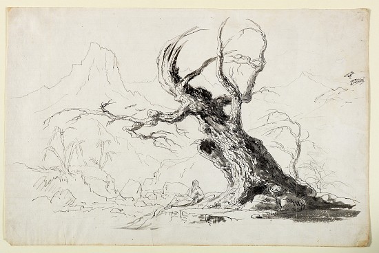 Large Gnarled Tree with Bearded Man Seated Below a Thomas Cole