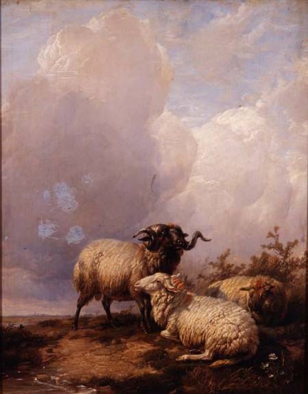 Sheep in Landscape a Thomas Sidney Cooper