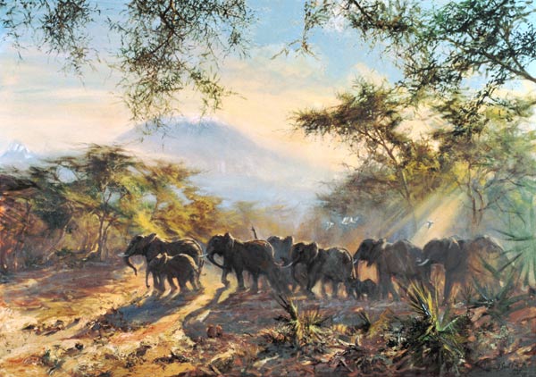 Elephant, Kilimanjaro, 1995 (oil on canvas)  a Tim  Scott Bolton
