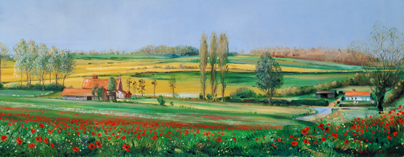 Poppy Field and Poplars  a Timothy  Easton