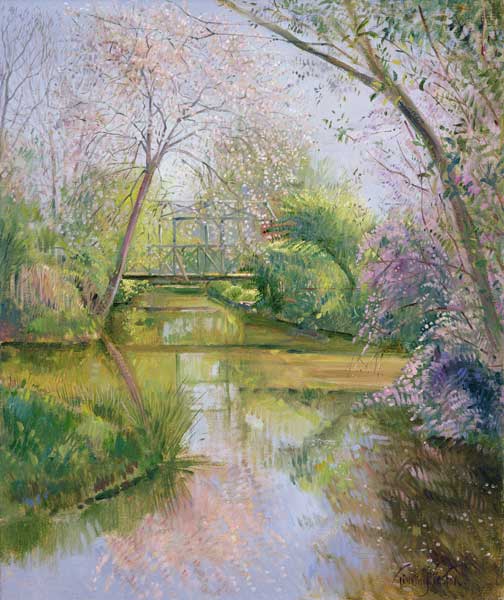 Full Blossom (oil on canvas)  a Timothy  Easton