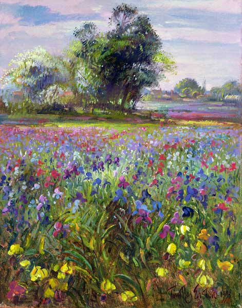 Irises and Distant May Tree, 1993  a Timothy  Easton