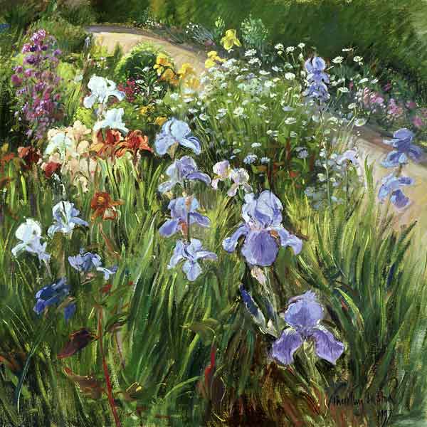 Irises and Oxeye Daisies, 1997 (oil on canvas)  a Timothy  Easton