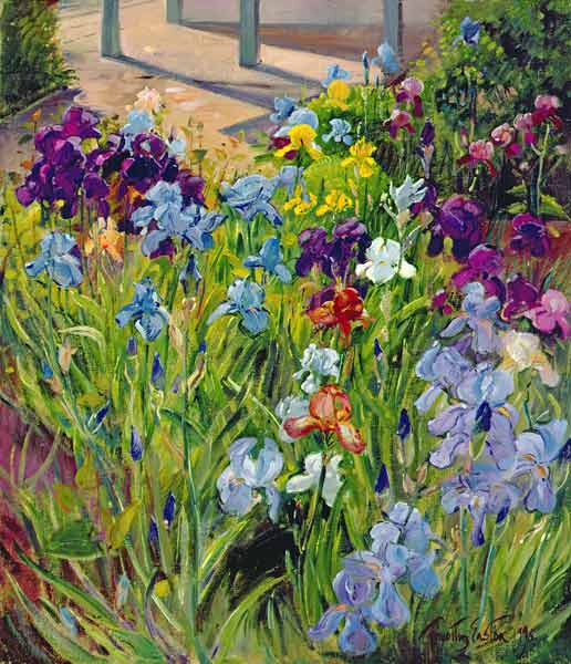 Irises and Summer House Shadows, 1996 (oil on canvas)  a Timothy  Easton