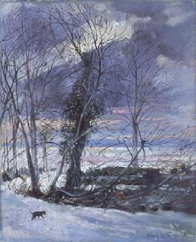 Winter Hunters, 1991 