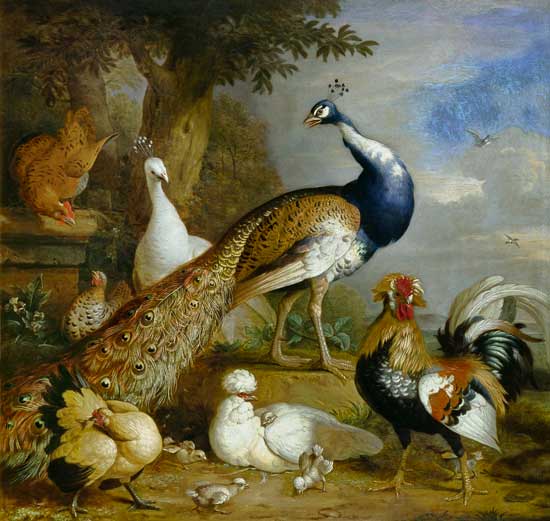 Peacock, Peahen and Poultry in a Landscape a Tobias Stranover