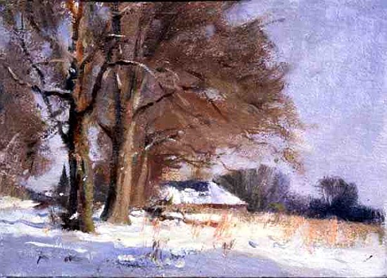 Limes in the Snow (oil on canvas)  a Trevor  Chamberlain