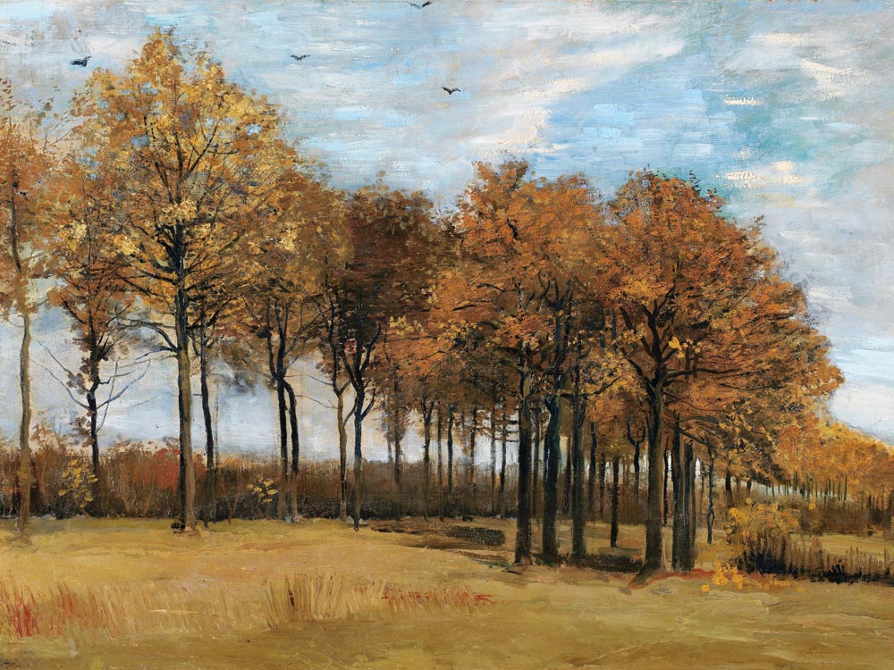 v.Gogh / Autumn landscape / Nov. 1885 a Vincent Van Gogh