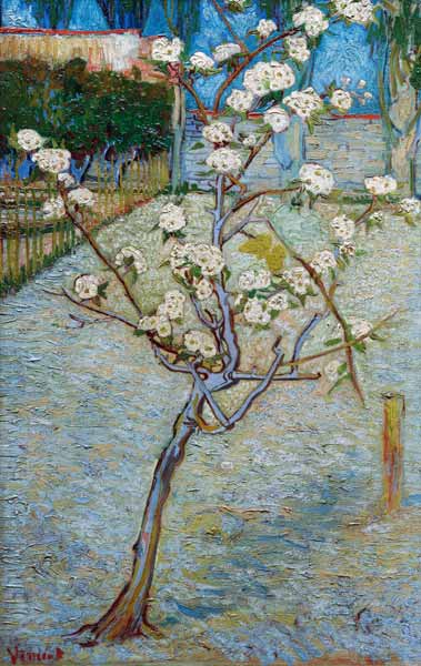 Pero fiorito/Aprile 1888 a Vincent Van Gogh