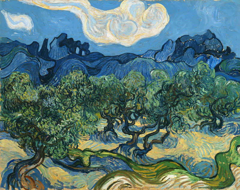 Paesaggio con ulivi - olio su tela di Vincent van Gogh