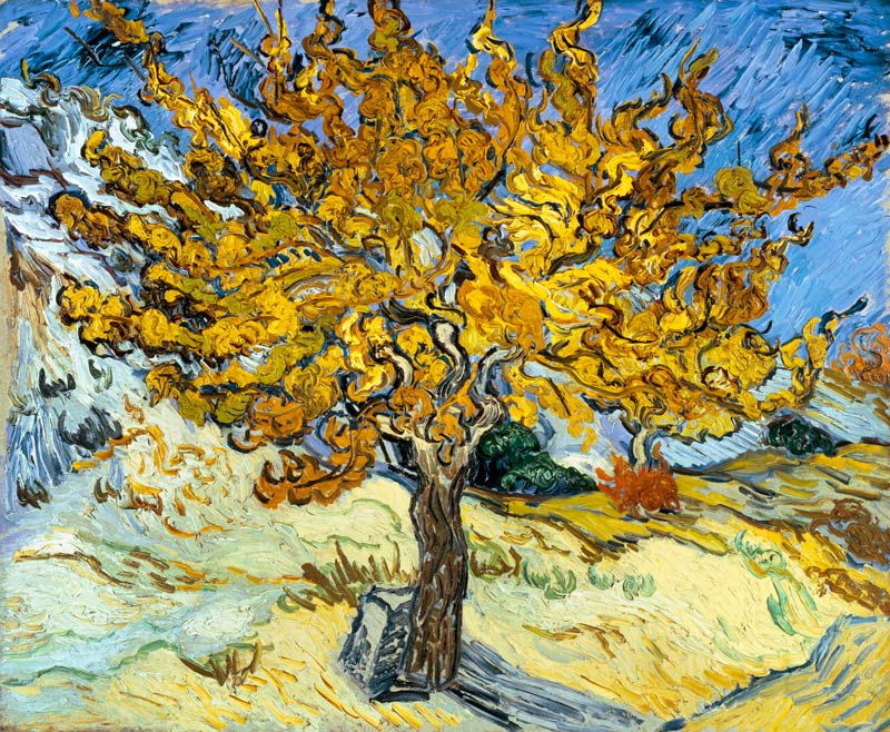 Gelso a Vincent Van Gogh