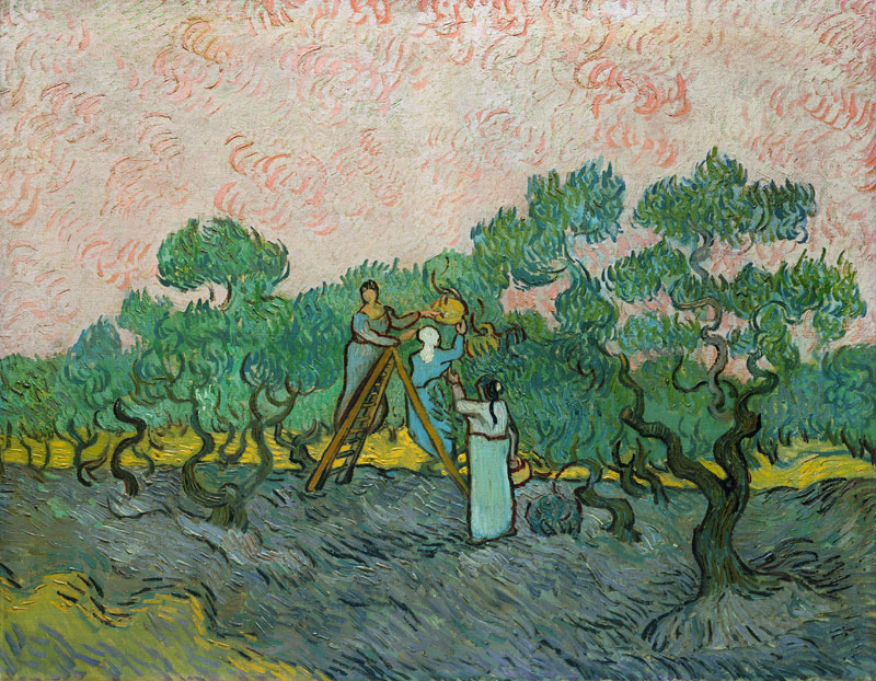 The Olive Pickers, Saint-Remy a Vincent Van Gogh