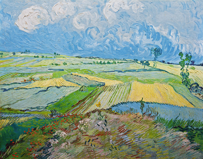 Van Gogh / Wheatfields in Auvers / 1890 a Vincent Van Gogh
