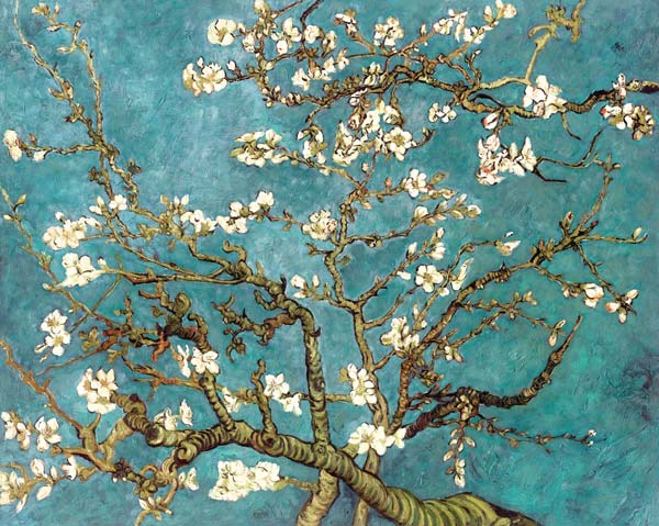 Rami di mandorlo in fiore (dettaglio) - Vincent van Gogh come stampa  d\'arte o dipinto.