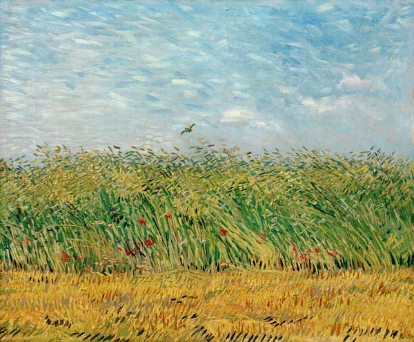 Campo di grano con delle allodole a Vincent Van Gogh