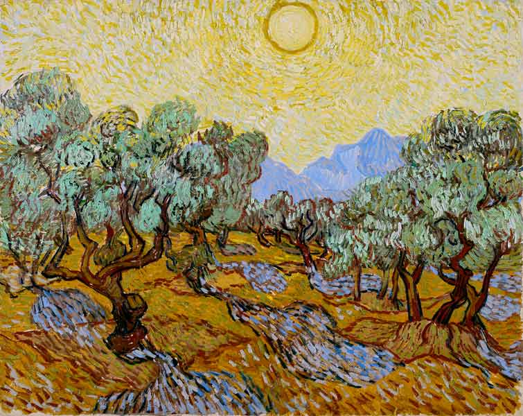 Olivi sotto il sole a Vincent Van Gogh