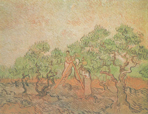 The Olive Grove a Vincent Van Gogh