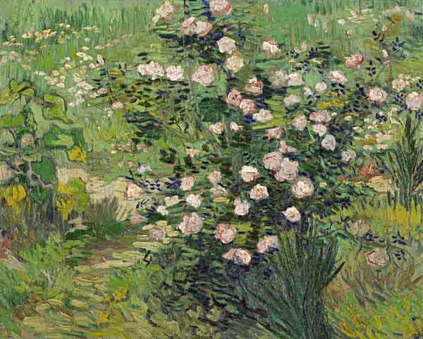 Roses a Vincent Van Gogh