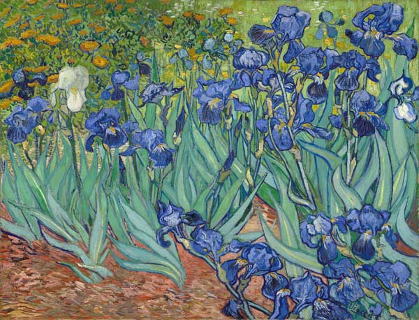 Iris a Vincent Van Gogh