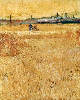 Campi di grano ad Arles
