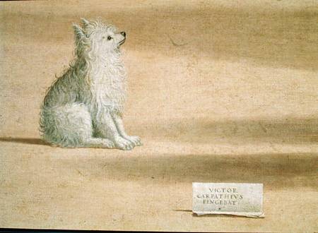 Vision of St. Augustine, detail of the dog a Vittore Carpaccio