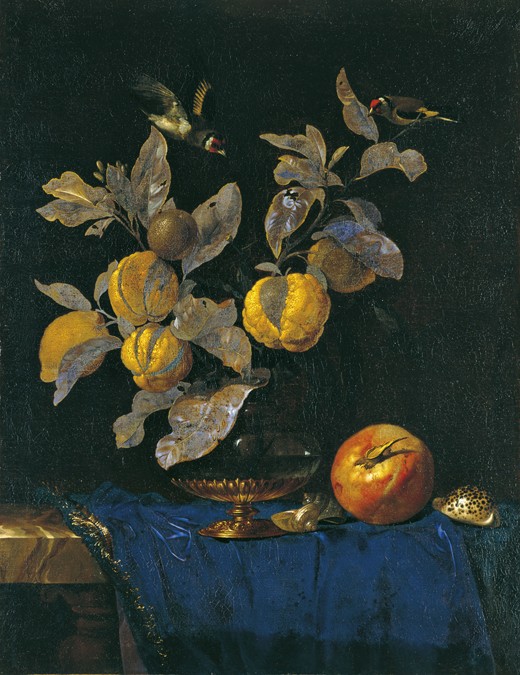Still Life with Fruit a Willem van Aelst