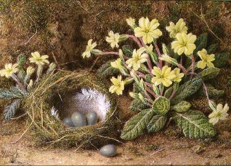 Still Life of Eggs in a Nest and Primroses a William B. Hough