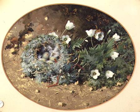 Bird's Nest with White Harebells a William Cruikshank