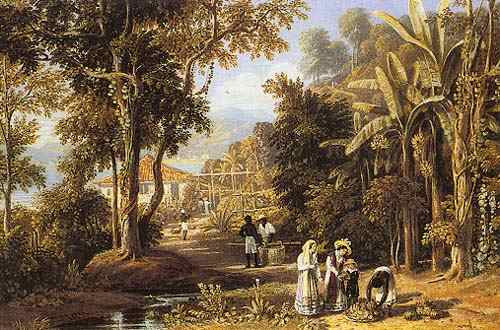 Garden scene of the Borganza coast, Rio de Janeiro a William Havell
